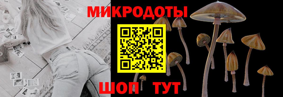 Псилоцибиновые грибы мицелий Когалым